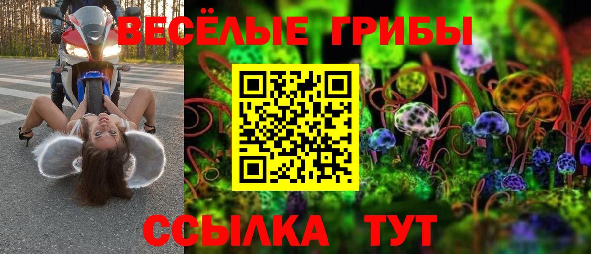Псилоцибиновые грибы прущие грибы  Вход с VPN  Галлюциногенные грибы Cubensis  Шатура 
